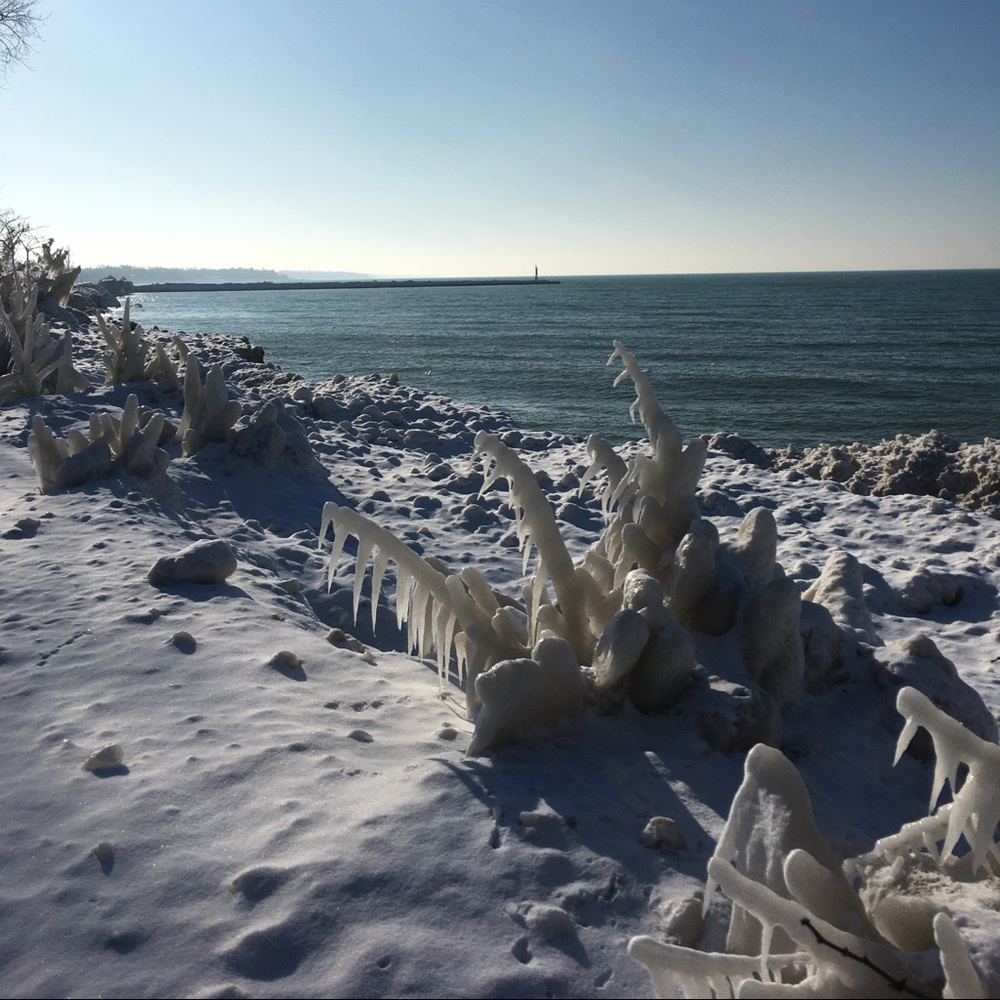 Meet your Posher, Dylan